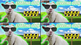 On ouvre quelques boosters WIKIMASTER puis ça part sur UNDERTALE ! - 🐐 !clip / !discord / !subgoals / !vod 🐐
