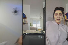 story von ali.b
