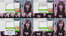 [팀진우 신입] 도미 1천개 당 1오리  오리레이스 움짤 약방셀 가용~