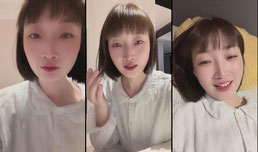 斑马和磨菇
