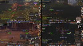 Wow Forever Beta Hunter POV