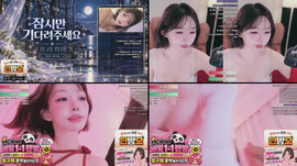 [생방송] 프리지아