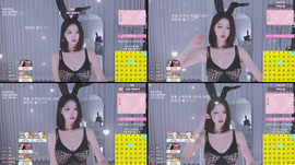 하이레그 ..