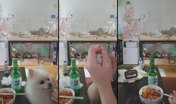 부산 오랜만이야 면저끼리 한잔한잔ㅅㅅㅅ