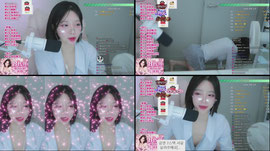 찐뉴비 16일차) 100 추미 섹댄 ㄱㄱ