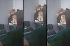 по желанию по возможности.