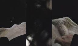 첫방송