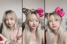 ตุลาหาคนรักแมว