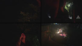 naughtygeorgian live stream