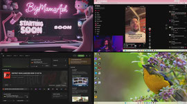The streets and south beach?  ||#keepme || !discord ||