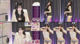 신입 88회 ) 수냥이 입양문의.