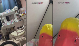 팬갑하면 퀵뷰