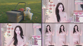 핑스루          방셀 2870