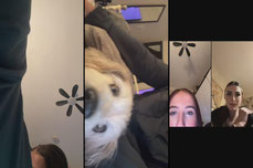 F R A N K I E
