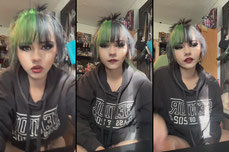 alta_chameleon