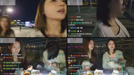 한강피크닉