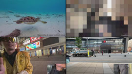 もうちょっとでBAN💦@歌舞伎町の狂犬 CX-MEN Leader Dre's Kabukicho Takeover #iceposeidon #cobbruvs #CX