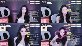 내일은 채이도 플단이 필요해요..♥