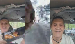 tammy hull is live!