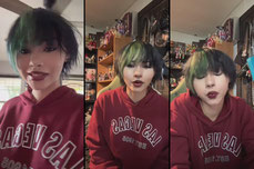 alta_chameleon