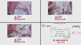 19) 새벽 쮸미호 냐옹~