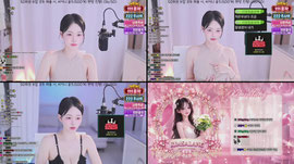50위 브압 모두 채울 시 비키니 팬방 진행!
