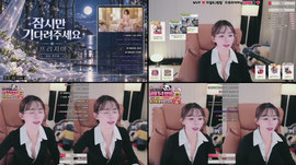 얼공 프리지아