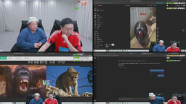 감스트x맨만기 세계 최강 동물 월드컵 64강