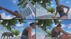 Morning chat in MIAMI