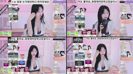 테러당하고있슴니다;;; 저도 몰라요