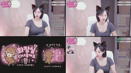 키워주세요 신입 술방