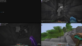 ** Bizarre SMP