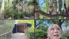 【オーストラリア🇦🇺一人旅】メルボルン！