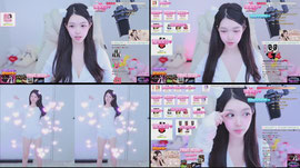 77회차 뉴비) 100일 민유냥이