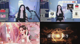 벌레퇴치중