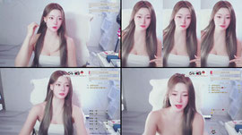 다시 족고아...?