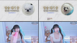 [소병대] 설이루 ㅇ_ㅇ 방셀숙제랑 치킨뿌리러옴!!!!!!!