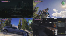 REED DANKLEAF - CORVID-19 AND TRUST - NOPIXEL V