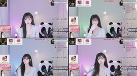 [ 채인컴퍼니 ] 혜디 플단 시급 이멀전시