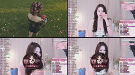 드릴말쑴 !        방셀 2870