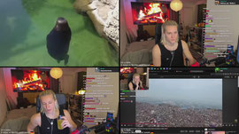 please bully me, i like it  😔💦 !vods for all previous streams 🎥