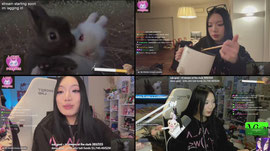 weekly stream before war (exams) ♡ OPENING A PACK EVERY 5 SUBS !plus !dono !discord