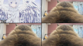 Recording Thumbnail