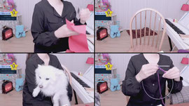 Recording Thumbnail