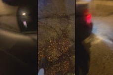 Recording Thumbnail