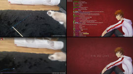 Addiction au speedrun de tous les effets (le comble pour une addiction) (!hdwgh)