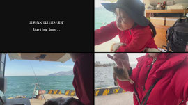 [ENG/JPN] Fishing in Otaru🦑【小樽釣り】