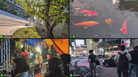 🇯🇵 Tokyo | 橋本くん＆やっちょ&レオ 100人100万円 24時間超カワイイ三銃士Walking Town! 100 PEOPLE 24 hour walk tonight! Winner 1 mil yen! 10,17