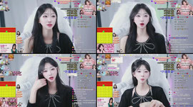 비와서 꿀꿀한데 놀아주세요..