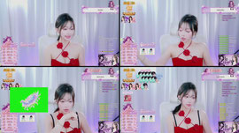 늅 77회차) 장미